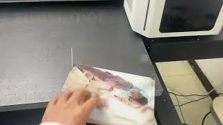 Display of raster painting effect printed by UV flat-panel printer