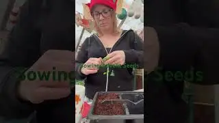 Sowing seeds from my grow your own advent calendar! 🌱🎄 Watch them grow! #GrowYourOwn #Gardening