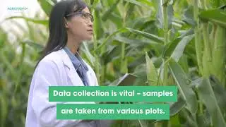 Inside the Life of a Plant Breeder