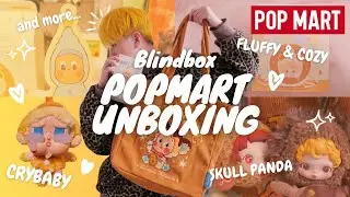 【ポプ活開封】ブラインドボックス　POP MART　TwinkleTwinkle　SKULLPANDA　LABUBU　Molly　Dimoo　AliExpress #005