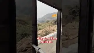 Salkhan fossi lpark sonbhadra
