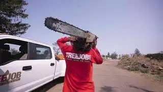 Emergency Tree Removal & Trimming Services in Atlanta & Marietta, GA - TreeJob