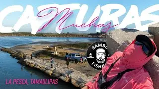 Muchas CAPTURAS en La Pesca Tamaulipas