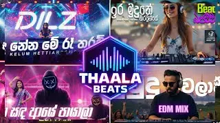 Sinhala EDM Bass Boosted Song Collection 2026 | Heart Touching | Thaala Beats
