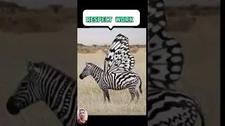 DANGRES JEBBRA🤯🥶💯🤯