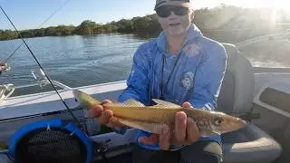 Fishing the Mangrove Sandflats