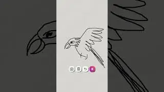 #shorts #shortsfeed #funnyshorts #funny#eagle #birds