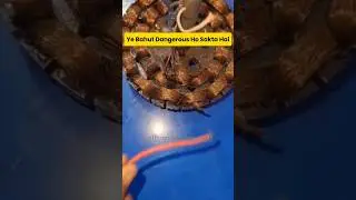 Fan me Current Kyu Aata Hai? ⚡ Shock Ka Asli Reason & Solution | Electrical Safety