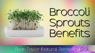 Broccoli Sprouts: Benefits (Cancer Prevention)