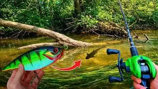 50h de p&ecirc;che en rivi&egrave;re pour ce brochet record 110+ !!