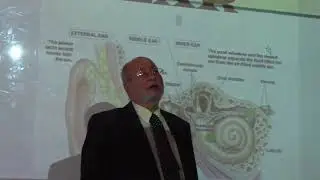 anatomy of the external ear by Dr. Wahdan