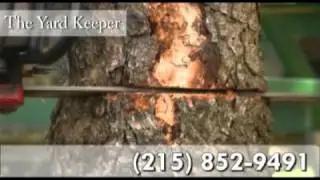 Tree Service, Lawn Maintenance in Newtown PA 18940