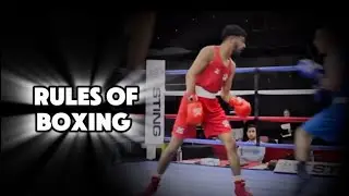 Rules Of Amateur Boxing