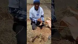Ecological Restoration that Regenerates Ecosystems and Local Livelihoods. #Reforestation #reforest