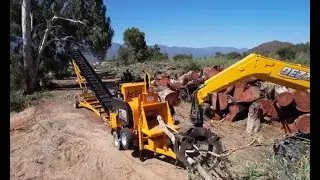 Dezzi 3 Wheel Logger feeding a newly developed Badger billeting machine