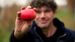 De beste appel van Nederland