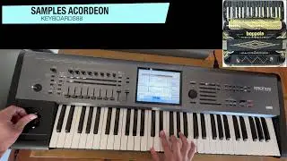 Experimentando con nuevos Samples Acordeon Norteño