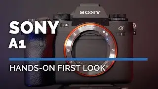 Sony A1 First Look | Where high res meets high speed shooting