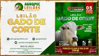 Agropecleiloes - LEIL&Atilde;O GADO DE CORTE  | SANTHYAGO LEIL&Otilde;ES - FORMOSO DO ARAGUAIA-TO| 05/02/2024