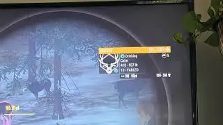 Grinding for the great one Whitetail deer.