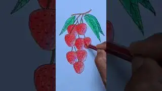 How to Draw Litchi || Litchi Drawing with Easy Steps