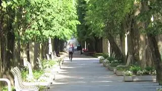 Каунасский проспект Свободы (Laisvės alėja)