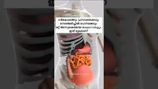 'അമ്മ'👶👶#trend#reel#amma#motherhood#tranding#2025#health #explore#ytshort#healthylifestyle#animation