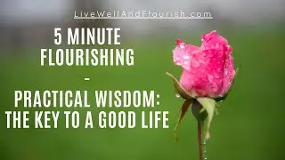 Practical Wisdom: The Key To A Good Life (5MF)