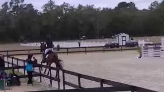 Savannah Fulton & Captain Jack IR SJ