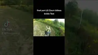 LG Zaum bitless bridle Test (1)