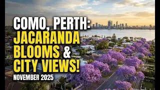 Stunning Aerial Views of Como, Perth | Jacaranda Blooms & City Skyline | November 2025