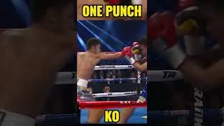 ONE PUNCH KO #boxing #boxingko#thisisboxing