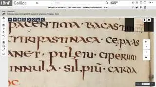An 'Ostrogothic' Cookbook : Manuscript Deepdive (BNF MS Latin 10318)