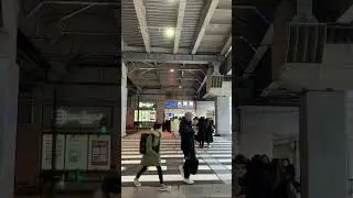 Japanese traffic lights announce green lights with sound. 【ASMR】