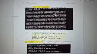 LAB 9 : TLS Socket - Client side