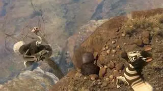 Kutan