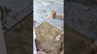 Flooring Tiles fitting 2x2 #trending #tiles #shorts #viralvideo #sidhumoosewala #construction #new