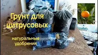 Грунт и натуральные удобрения для цитрусовых | Безобразные безобразия