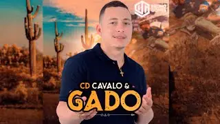 BRUNO GOMES = EP 2K25 