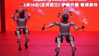 &Ccedil;in'in ileri insansı robotları Bahar Bayramı galasında sahne aldı