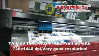 TAIMES SOLVENT PRINTER T5-KM1024-14PL-4H working video new 720HD
