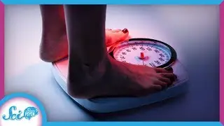 The Very Real Consequences of Weight Discrimination