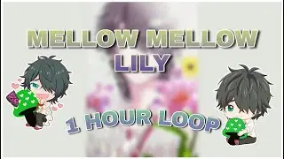 mellow mellow lily &ndash; jimmy / fujisaki tooru [yaribu club] 1 HOUR LOOP