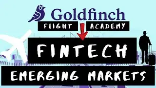 The State of Fintech in Emerging Markets Report