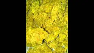 RARE TRAKZ G-FUNK by behert