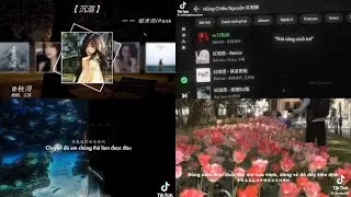 [Tiktok] Tổng hợp nhạc trung hot nhất hiện nay - mà bạn nên nghe 1 lần