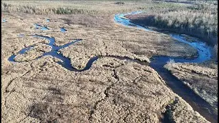 Bear River