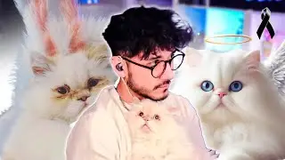 ZEIN Y GRUMPY | RECUERDOS QUE NUNCA OLVIDAREMOS