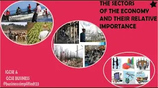 Relative importance of sectors and why it can change over time