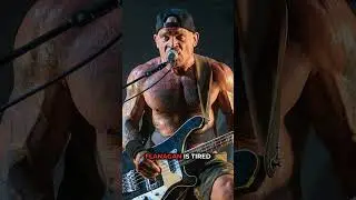 Фронтмен Cro-Mags &mdash; Metallica: &laquo;Не хвалите меня наедине, берите меня с собой в тур&raquo;
